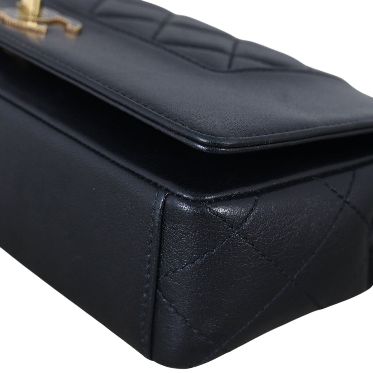 Chanel Mademoiselle Flap Bag Medium_IMG_4976.jpeg
