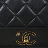 Chanel Mademoiselle Flap Bag Medium_IMG_4977.jpg