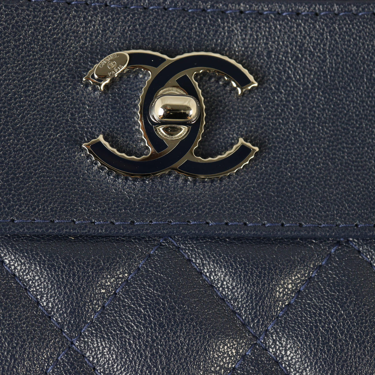 Chanel Mademoiselle O-Case Large_IMG_8375.jpg