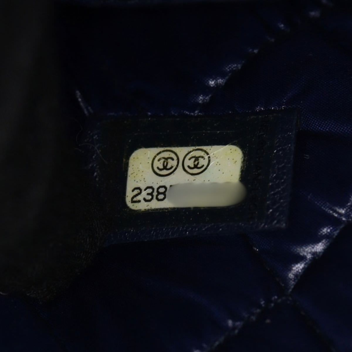 Chanel Mademoiselle O-Case Large_IMG_8376.jpg