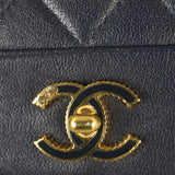 Chanel Mademoiselle Wallet on Chain _IMG_5462.jpg