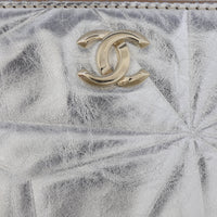 Chanel O-Case Pouch Medium_IMG_7657.jpg