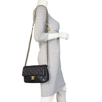 Chanel Paris-Chateau de Chenonceau Chain Soul Flap Bag Small_IMG_9170.jpeg