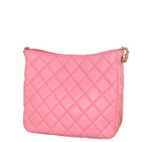 Chanel Pearl Crush Chain Hobo_IMG_7516.jpeg