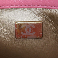 Chanel Pearl Crush Chain Hobo_IMG_7523.jpg