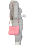 Chanel Pearl Crush Chain Hobo_IMG_7659.jpeg
