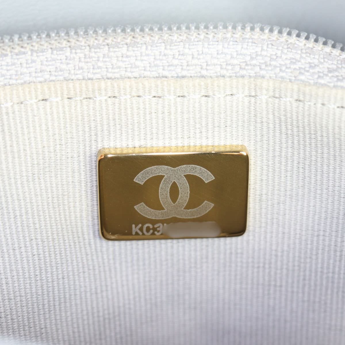 Chanel Pillow Crush Wallet on Chain_IMG_4979.jpg