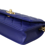 Chanel Pillow Crush Wallet on Chain_IMG_8336.jpeg