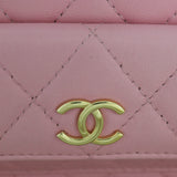 Chanel Polly Pocket Vanity Case Chain Bag_IMG_9921.jpg