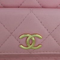 Chanel Polly Pocket Vanity Case Chain Bag_IMG_9921.jpg