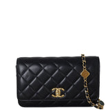Chanel Precious Stones Wallet on Chain_IMG_3033.jpeg