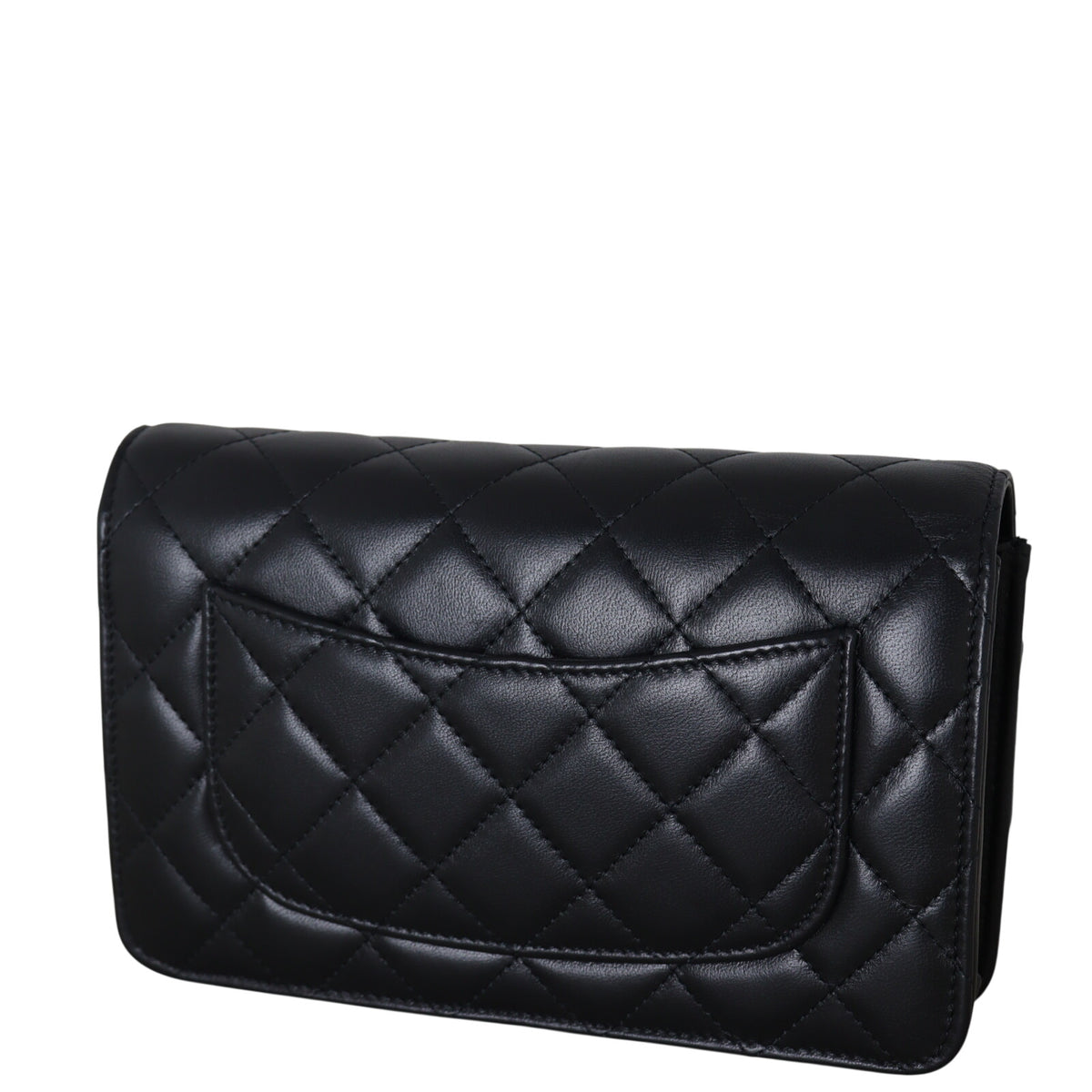 Chanel Precious Stones Wallet on Chain_IMG_3034.jpeg
