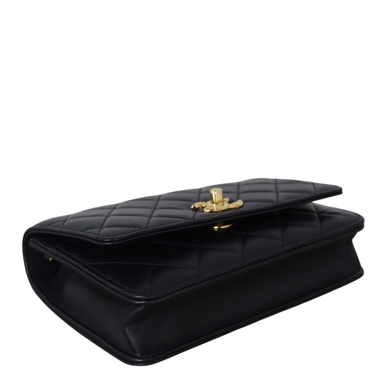 Chanel Precious Stones Wallet on Chain_IMG_3035.jpeg