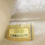 Chanel Reissue Anklet Bag_IMG_6474.jpg