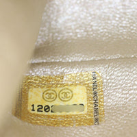 Chanel Reissue Anklet Bag_IMG_6474.jpg