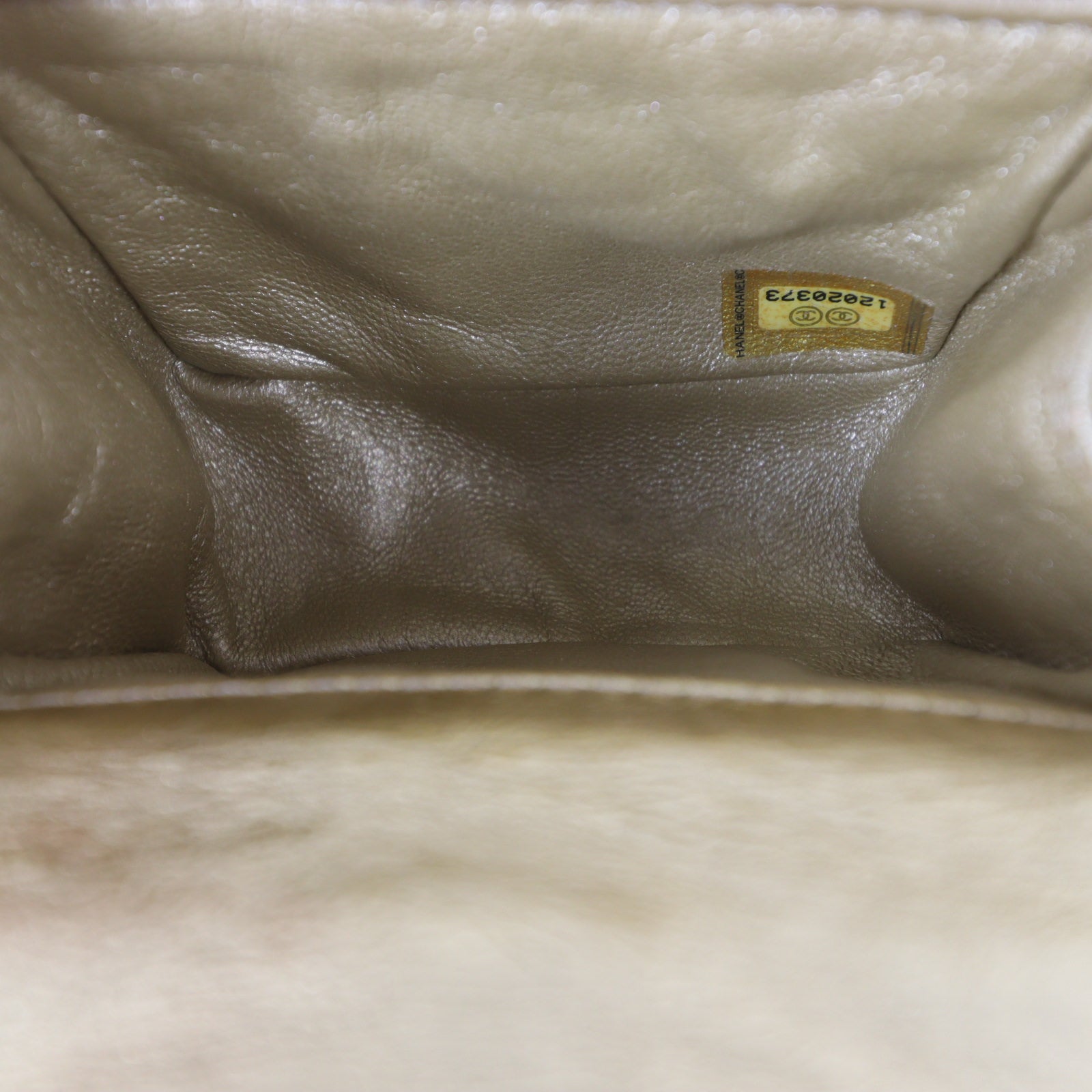 Chanel Reissue Anklet Bag_IMG_6475.jpg