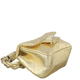 Chanel Reissue Anklet Bag_IMG_IMG_6472.jpg