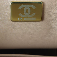 Chanel Retro Twist Top Handle Flap Mini_IMG_8661.jpg