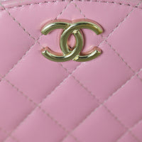 Chanel Ruched Top Handle Oval Vanity Case_IMG_0240.jpg