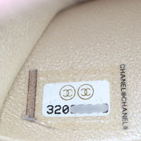Chanel Ruched Top Handle Oval Vanity Case_IMG_0241.jpg