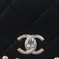 Chanel Saddle Stud Around Flap Bag_IMG_3298.jpg