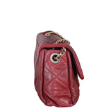 Chanel Shiva Flap Bag Medium_IMG_7843.jpg