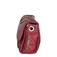 Chanel Shiva Flap Bag Medium_IMG_7844.jpg