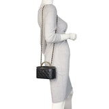 Chanel Top Handle Vanity Case Chain Bag Small_IMG_9467.jpeg