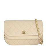 Chanel Vintage Half Moon Double Flap Bag_IMG_5384.jpeg
