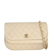 Chanel Vintage Half Moon Double Flap Bag_IMG_5384.jpeg