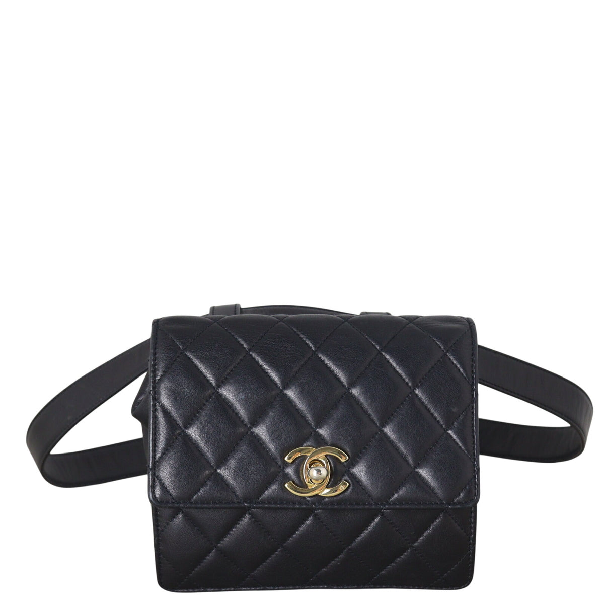 Chanel Vintage Quilted CC Belt Bag_IMG_5268.jpeg