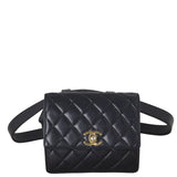 Chanel Vintage Quilted CC Belt Bag_IMG_5268.jpeg
