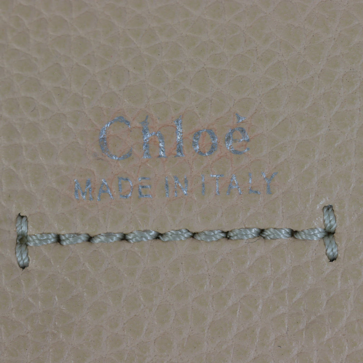Chloe Darryl Saddle Bag Small_IMG_3684.jpg