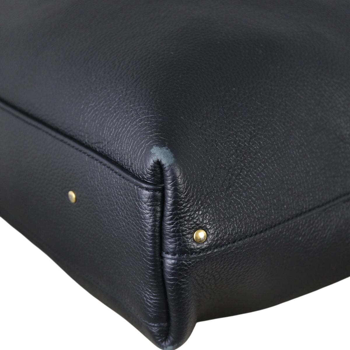 Chloe Marcie Hobo Large_IMG_8258.jpeg