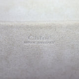 Chloe Nile Bracelet Bag Small_IMG_1589.jpg