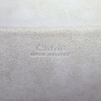 Chloe Nile Bracelet Bag Small_IMG_1589.jpg