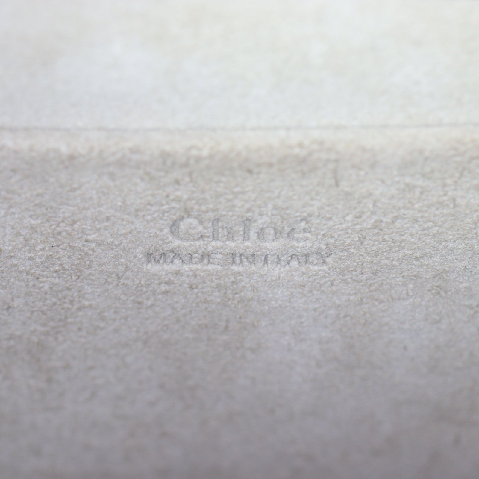 Chloe Nile Bracelet Bag Small_IMG_1589.jpg