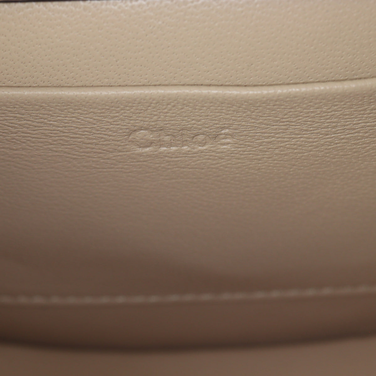 Chloe Nile Minaudiere Bracelet Bag_IMG_2232.jpg