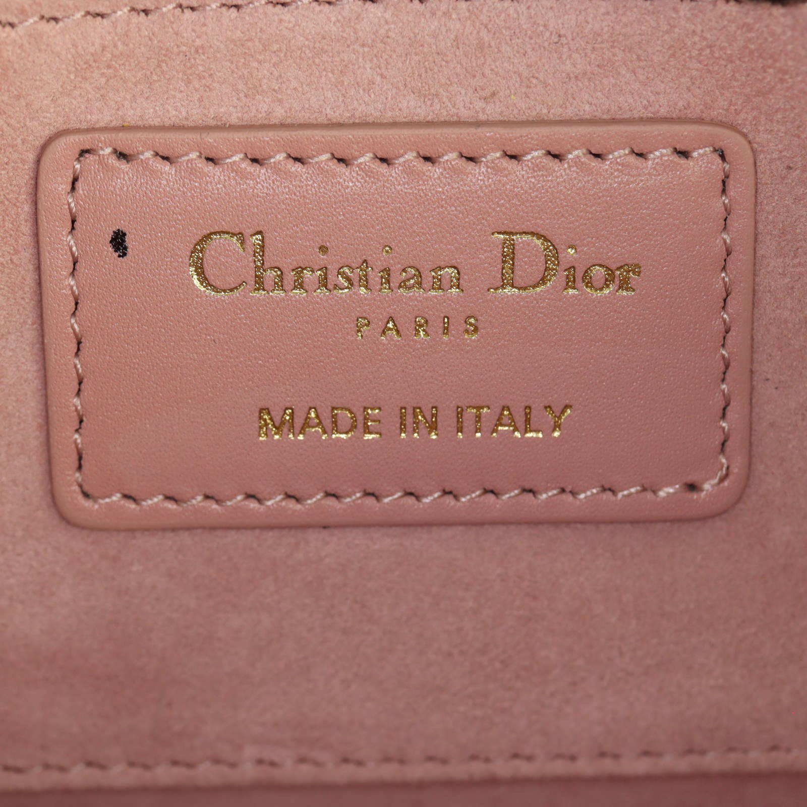 Dior 30 Montaigne Avenue East-West Bag_IMG_1455.jpg