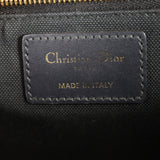 Dior 30 Montaigne Bag Oblique_IMG_1381.jpg