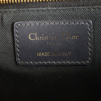 Dior 30 Montaigne Bag Oblique_IMG_1381.jpg