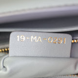 Dior 30 Montaigne Bag_IMG_5486.jpg