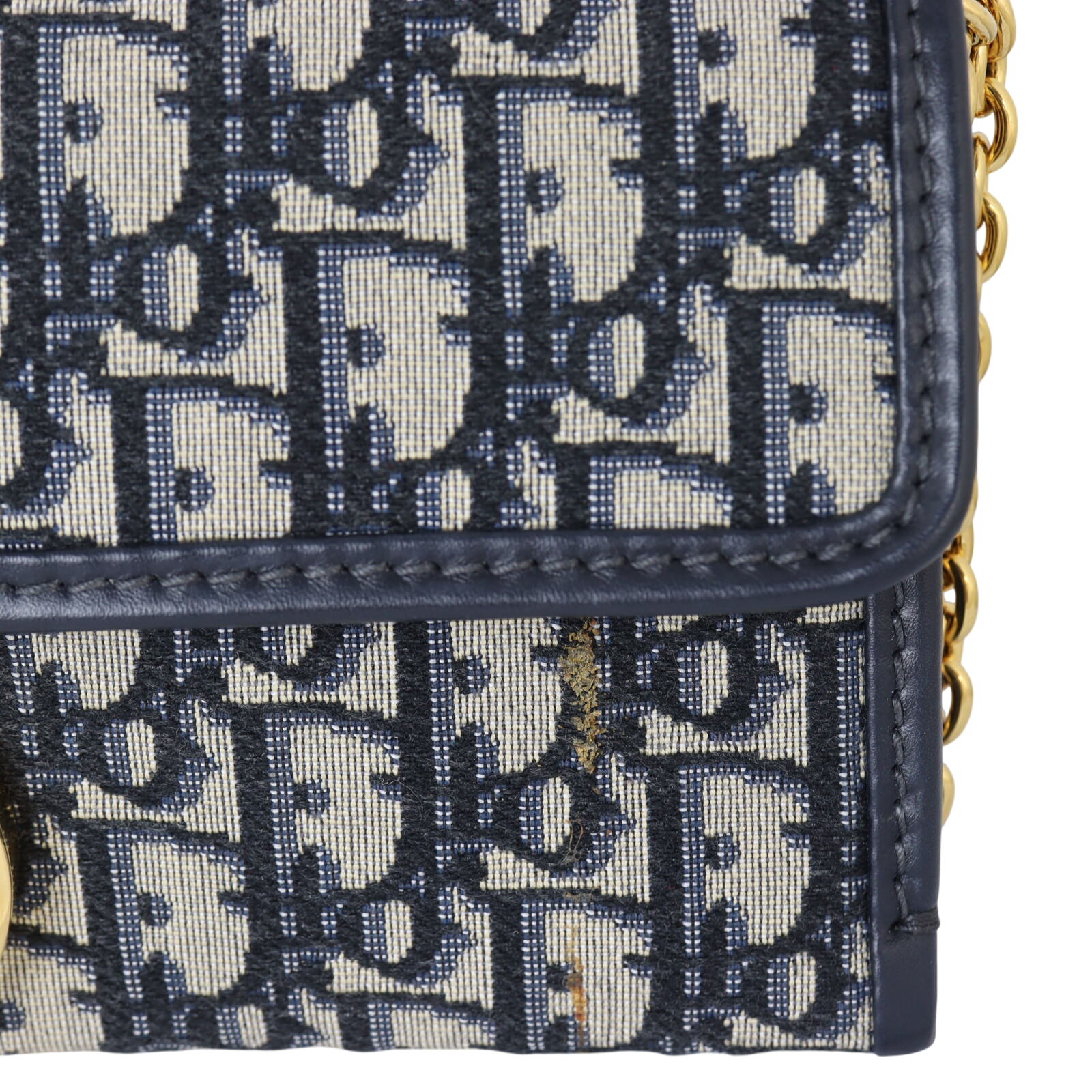 Dior 30 Montaigne Chain Clutch Oblique_IMG_1355.jpeg