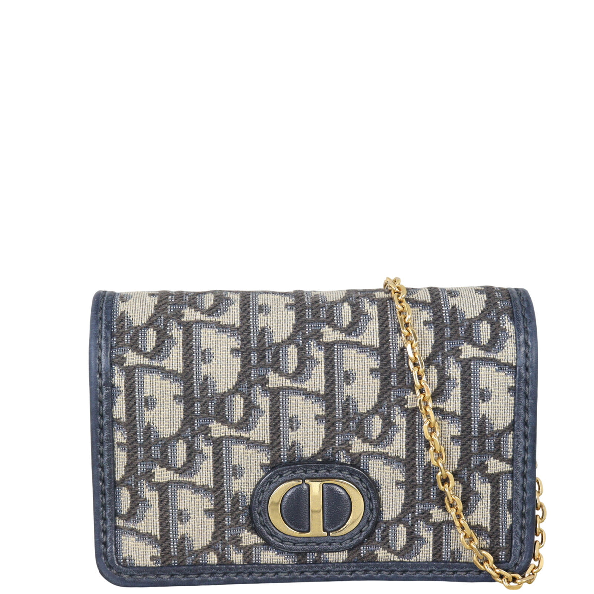 Dior 30 Montaigne Pouch Nano Oblique_IMG_7806.jpeg