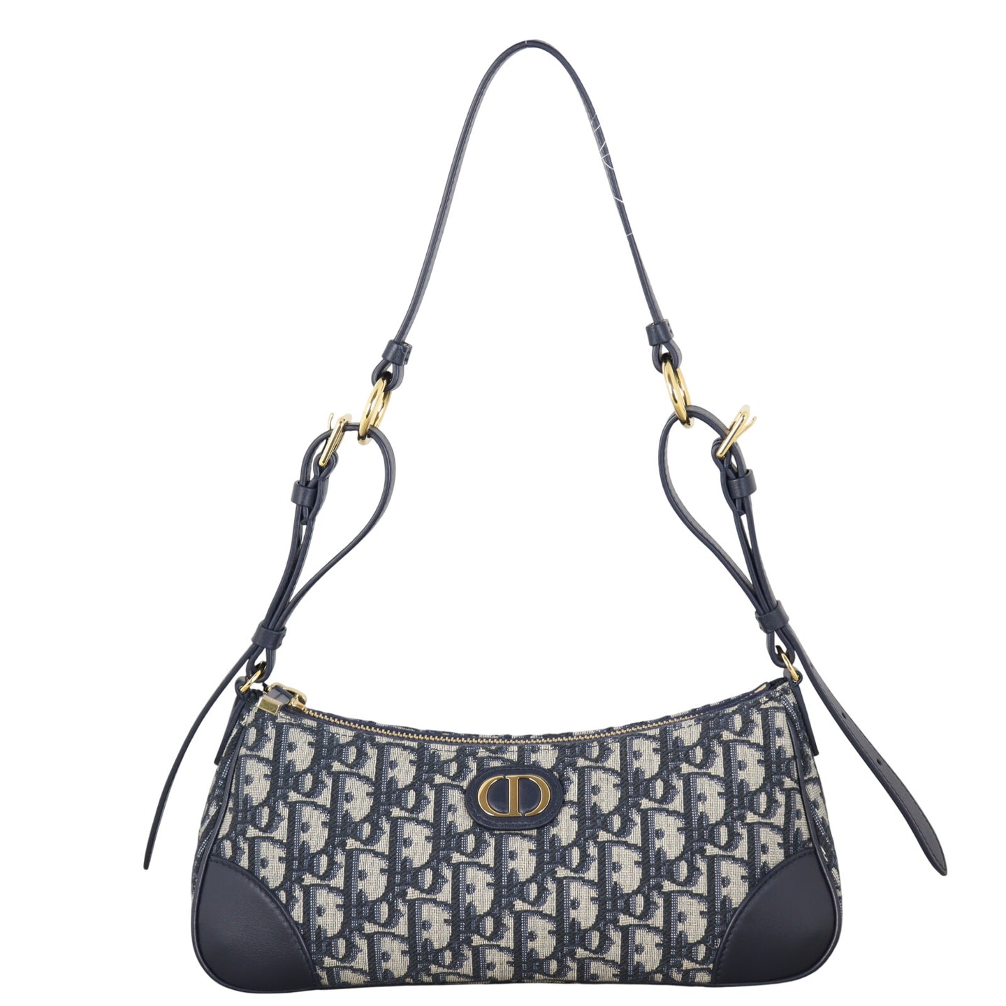 Dior 30 Montaigne Wanderlust Mini Oblique_IMG_1797.jpeg