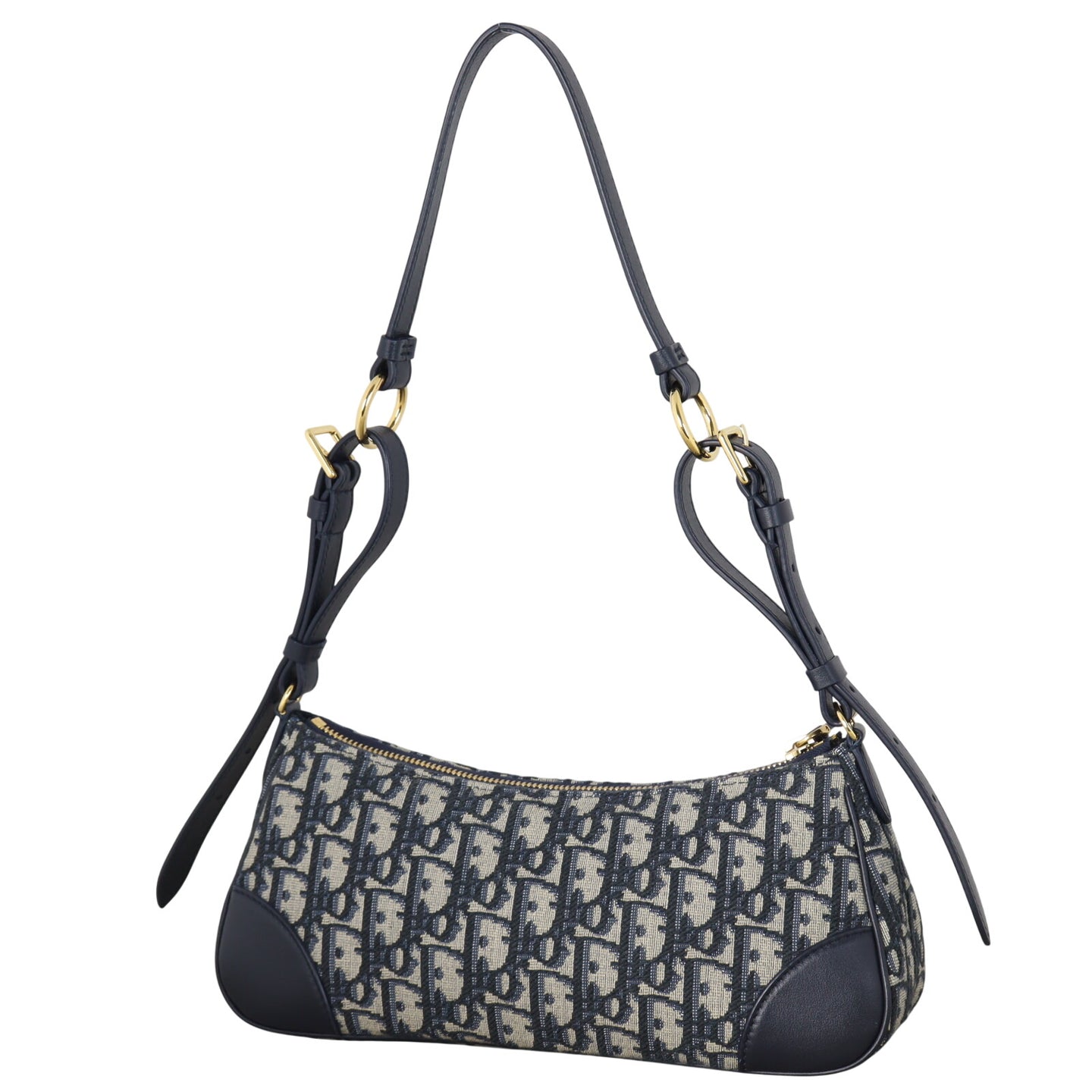Dior 30 Montaigne Wanderlust Mini Oblique_IMG_1798.jpeg