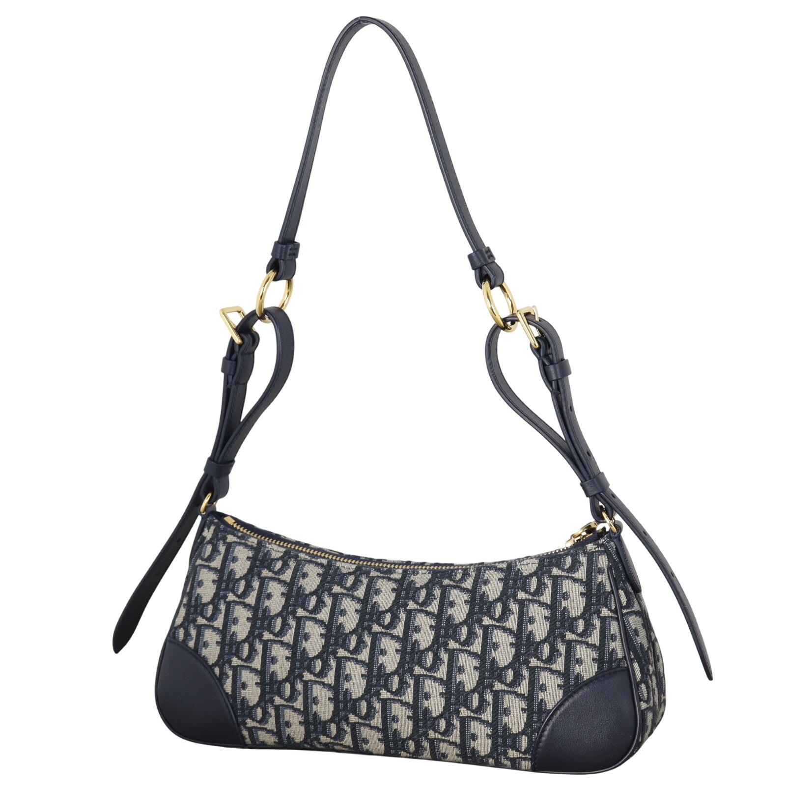 Dior 30 Montaigne Wanderlust Mini Oblique_IMG_1798.jpeg