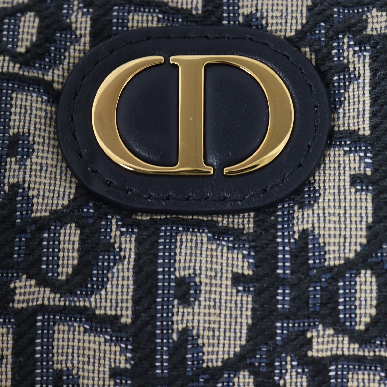 Dior 30 Montaigne Wanderlust Mini Oblique_IMG_1799.jpg