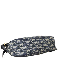Dior 30 Montaigne Wanderlust Mini Oblique_IMG_1801.jpeg
