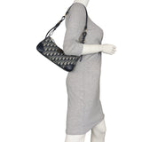 Dior 30 Montaigne Wanderlust Mini Oblique_IMG_2206.jpeg
